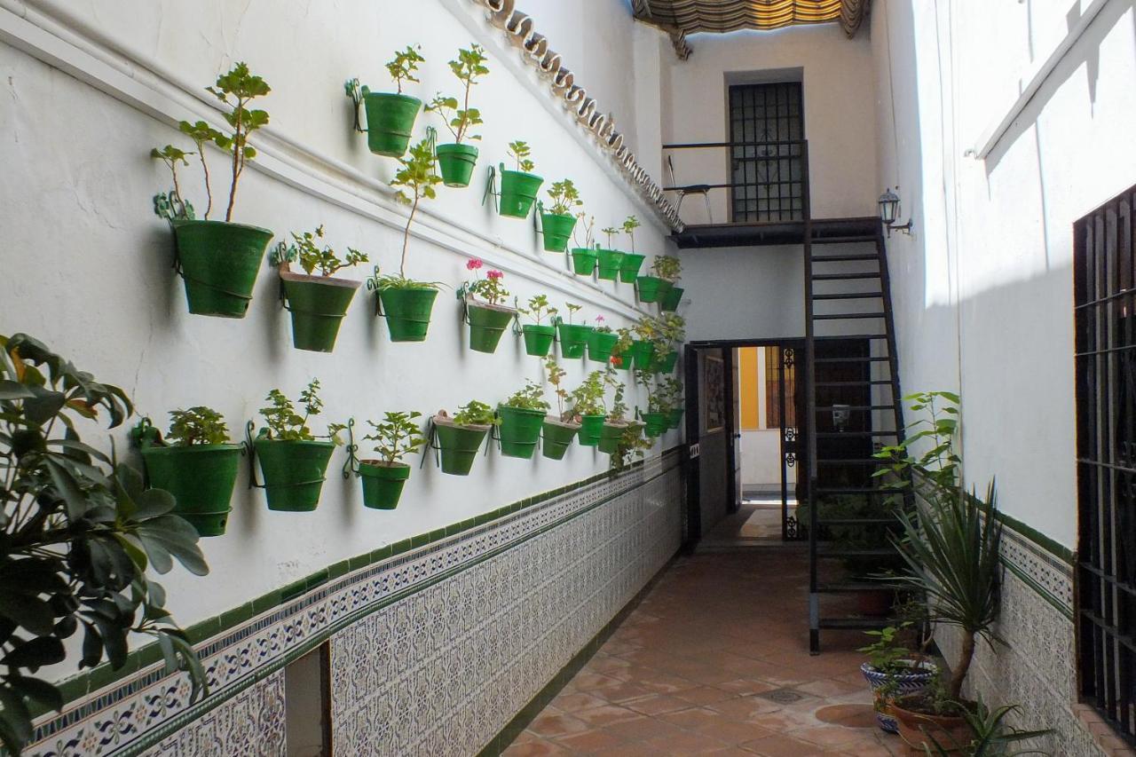 El Patio De Santiago Hotel Cordoba Exterior photo